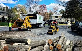 Pleasant Valley, WV Tree Services Company