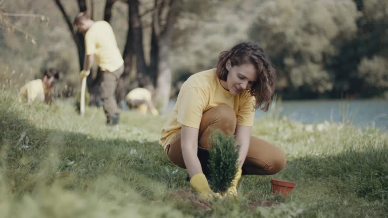 Best Lawn Watering Services  in Pleasant Valley, WV