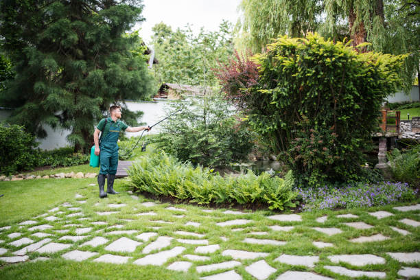Best Stump Grinding and Removal  in Pleasant Valley, WV